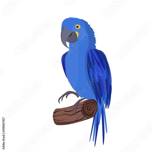 Cute cartoon Ara parrot on branch. Vector illustration for invitations, card, poster. Summer exotic print. Tropical parrot icon