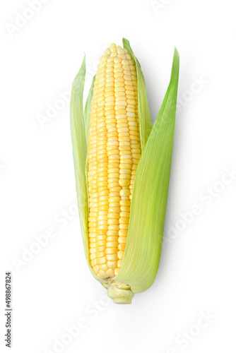 Corn on white
