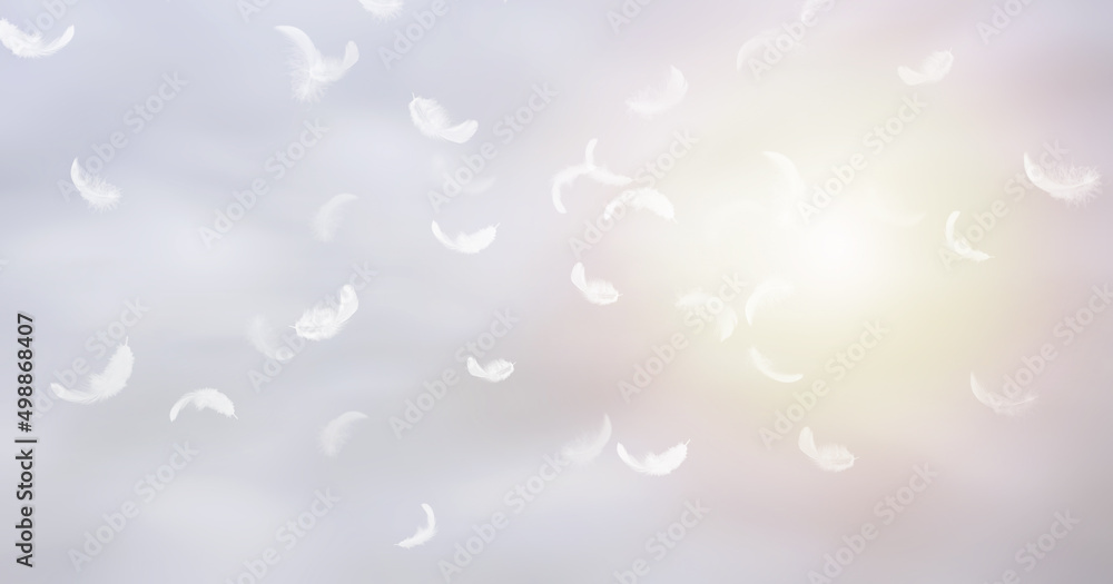 Group of White Bird Feathers Floating in Clouds Sky. Swan Feather Flying on Heavenly Concept.
Group of White Bird Feathers Floating in Clouds Sky. Swan Feather Flying on Heavenly Concept.