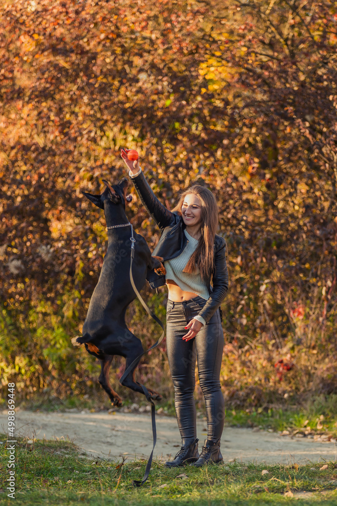 girl plays with a Doberman dog with a ball