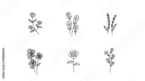 Set or Bundle of Colorless Botanical Illustration Line Art, Doodle in Black on White Background