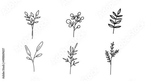 Set or Bundle of Colorless Botanical Illustration Line Art, Doodle in Black on White Background