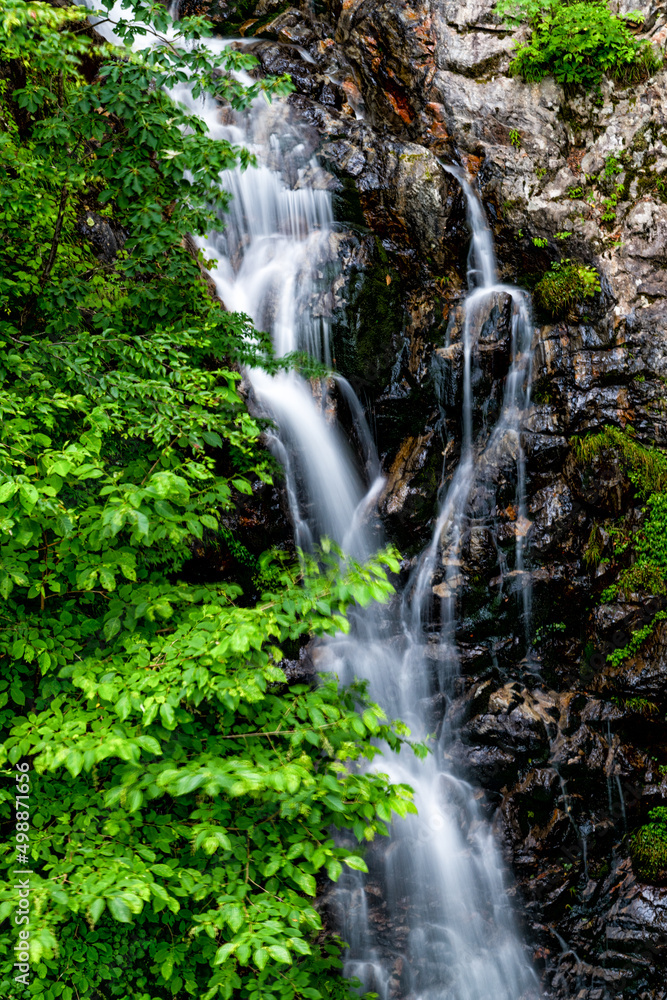 Fototapeta premium 滝 water fall