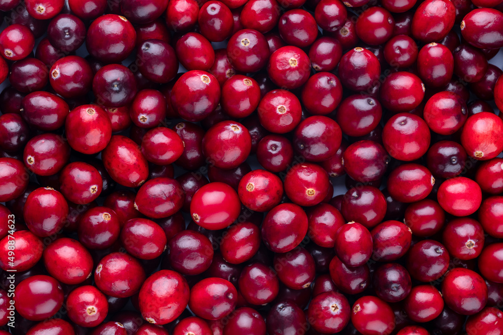 Cranberry bio background, food background. Cranberry bio background, food background.