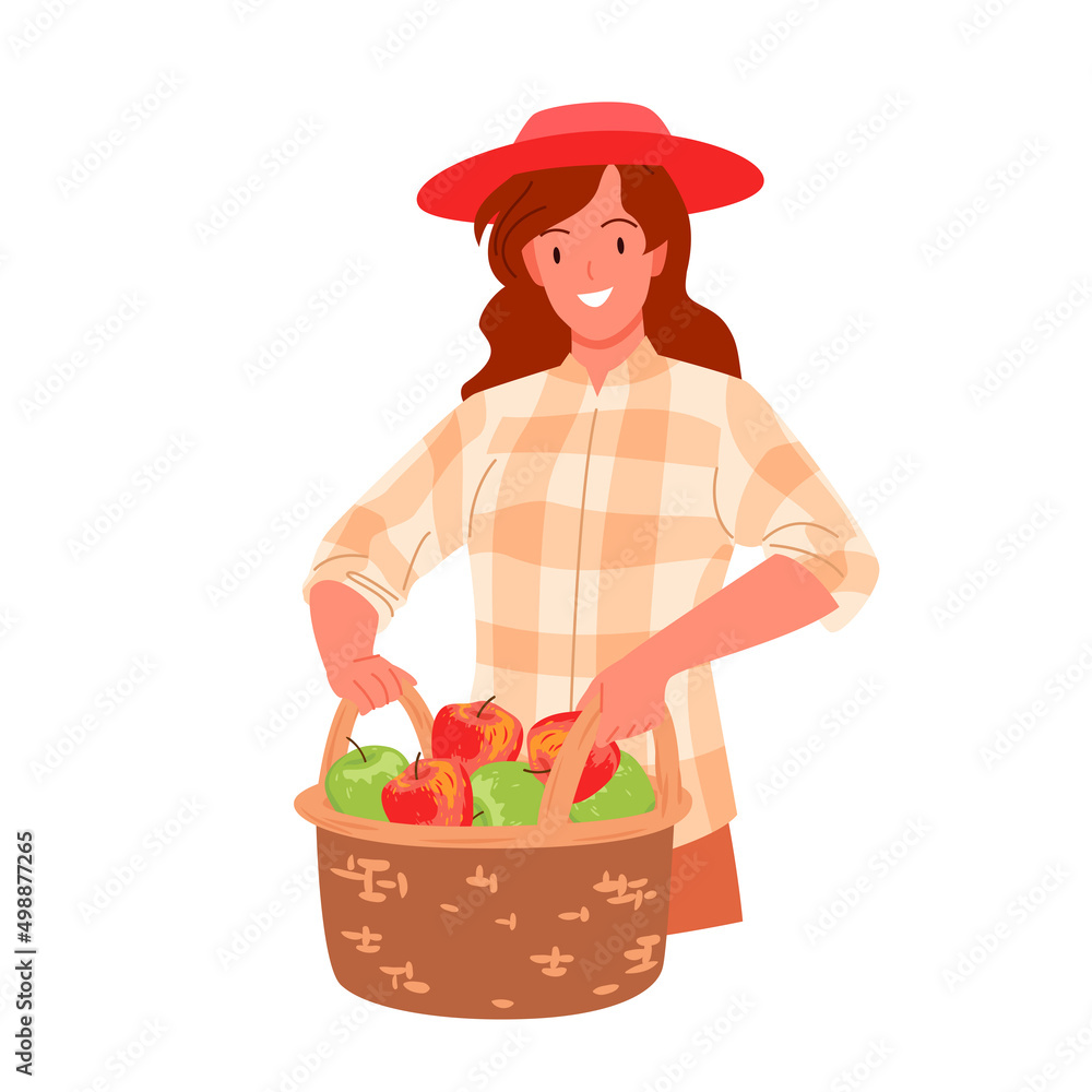 Girl holding basket in hands to collect ripe fresh red apples vector illustration. Cartoon female agricultural worker in hat working in village farm garden isolated on white. Harvest, food concept