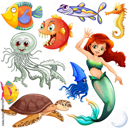 Different types of sea animals