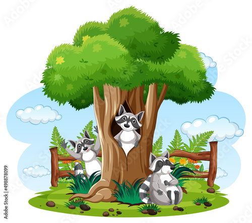 Nature scene with raccoons in the park