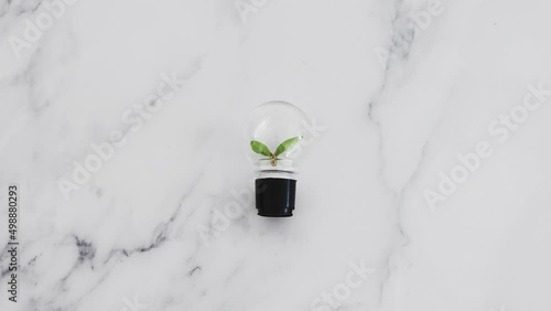 ideas for sustainability, lightbulb with perfect green V-shaped leaves growing inside of it