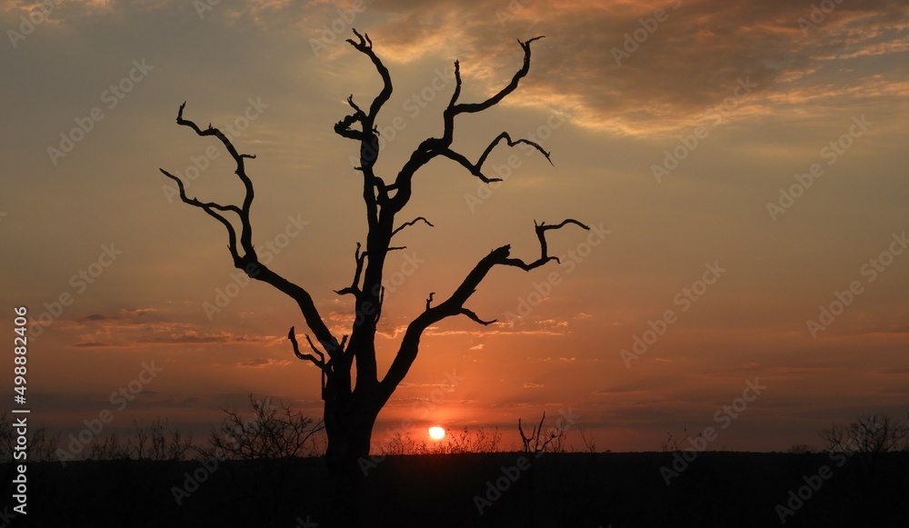 Sunset over Timbavati