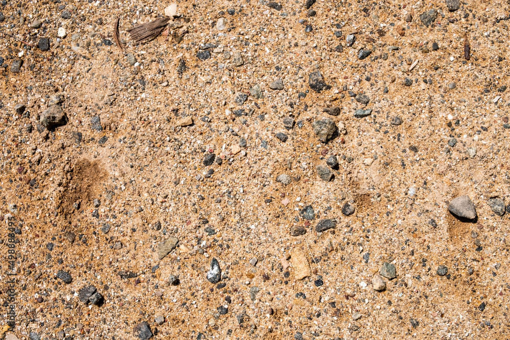 sand and small stones texture background sand and small stones texture background