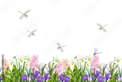 Various types of fresh garden herbs highlighted on a white background. A frame of flowers. Banner with the first spring flowers. It's a summer day, dragonflies are flying.