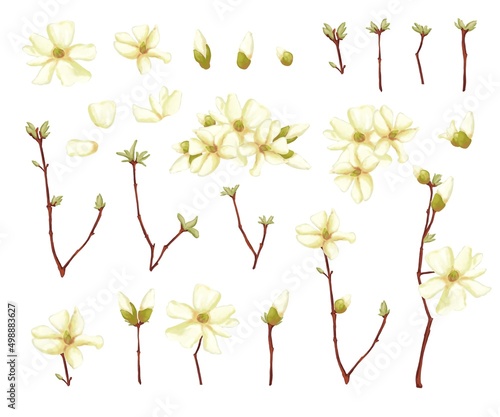 A set of branches. A simple branch from a tree. The first flowers, sprouts on a branch. Small leaves on a tree. Cherry blossoms, apple trees.