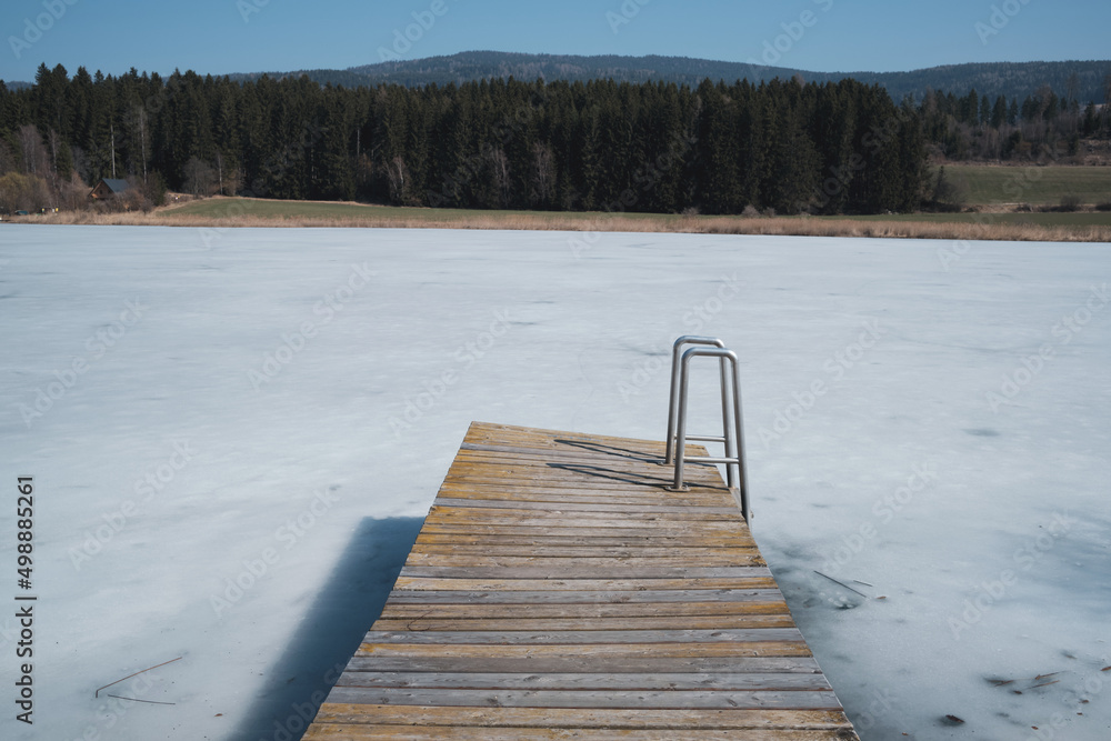 Obraz premium wooden bridge over the lake