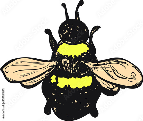 bee cartoon character