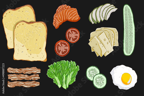 Sandwich bread and various ingredients. Vector illustration