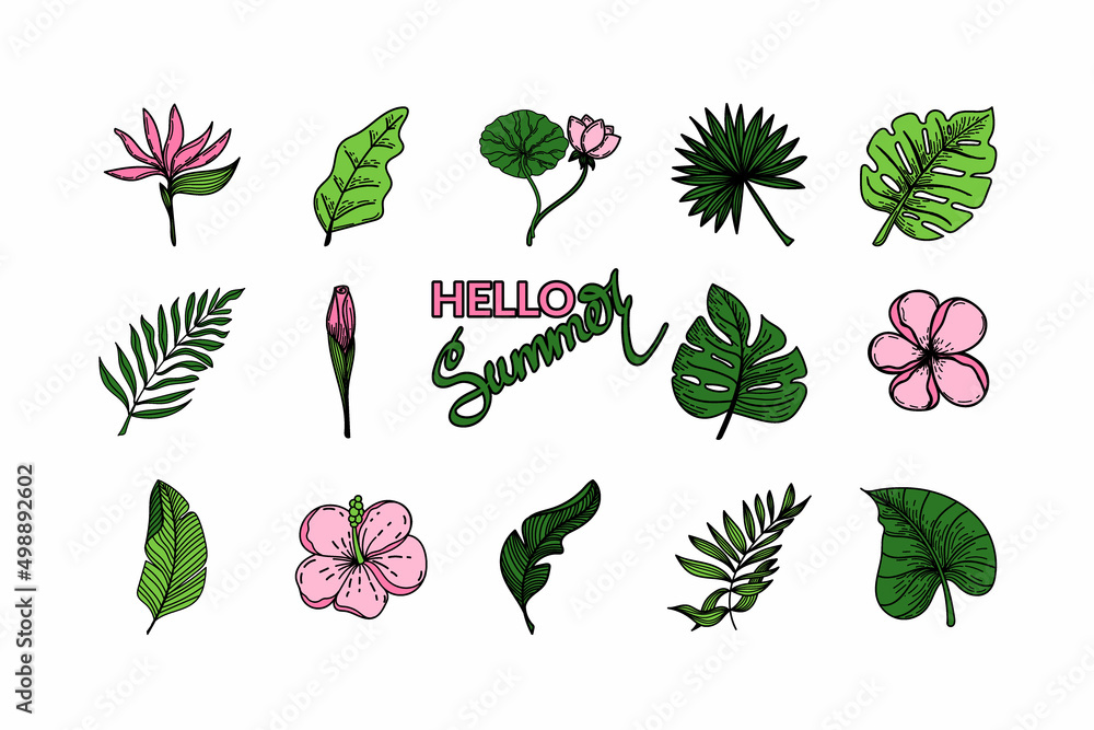 Set of tropical elements of tropical strelitzia flower, monster leaves, banana leaves, lotus. Hand-drawn doodle-style elements, bright flowers and greenery. Hello summer, hand-drawn. Tropics. Summer.