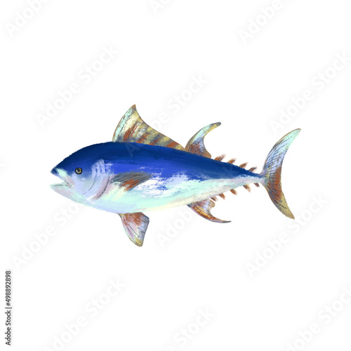 Tuna fish illustration isolated on white background. Blue fish clip art. World Tuna Day design.