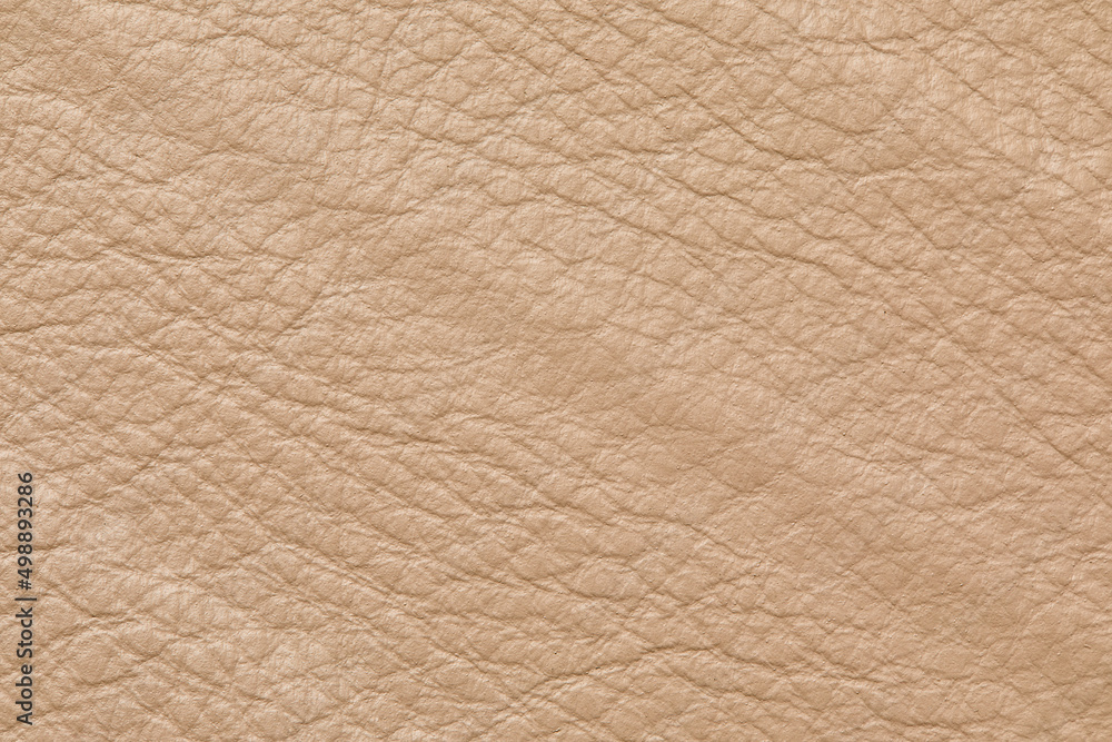 The ecru color beige leather sample . Abstract background with copy space, top view The ecru color beige leather sample . Abstract background with copy space, top view