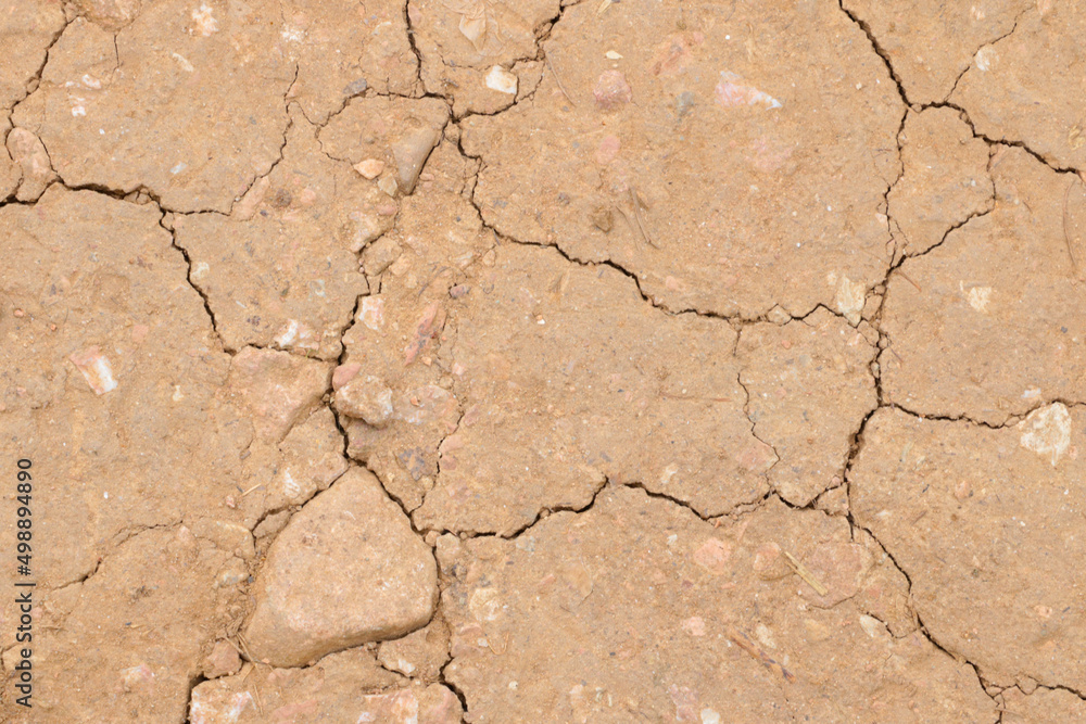 Fototapeta premium Texture of cracked earth, background. Soil texture.