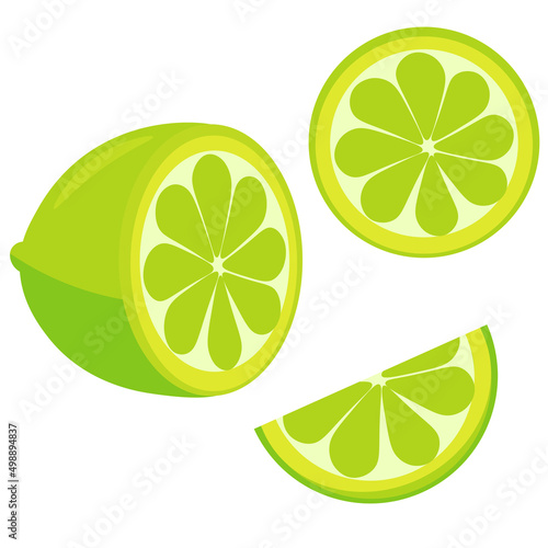 Vector drawing lime. Illustration of a citrus fruit on a white background.