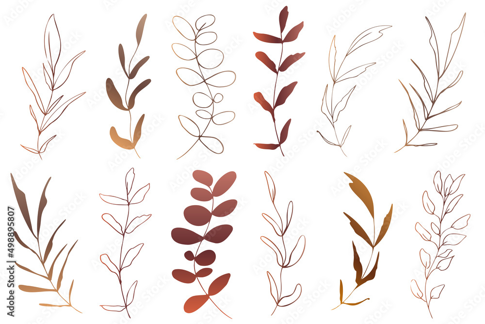 Hand drawn colorful plant set modern and universally usable. Flower branch and minimalistic plants. Hand drawn lines, elegant leaves for your own design. Botanical, chic and trendy plants. Hand drawn colorful plant set modern and universally usable. Flower branch and minimalistic plants. Hand drawn lines, elegant leaves for your own design. Botanical, chic and trendy plants.