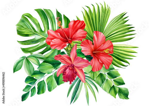 Tropical leaves palm and hibiscus  orchid flowers. Watercolor illustration. Paradise garden