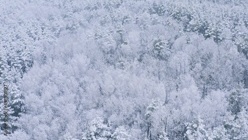 4K Beautiful Snowy White Forest In Winter Frosty Day. Aerial View Flight Above Amazing Pine Forest. Landscape. Scenic View Of Park Woods. Nature Elevated View Of Winter Frost Woods. Snowy Coniferous