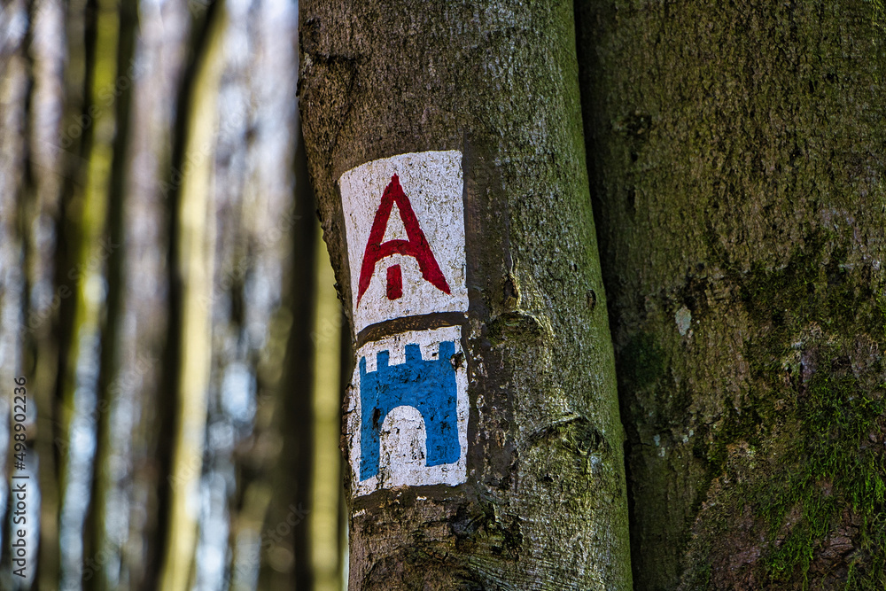 Naklejka premium Malerei auf einem Baum Wegweiser
