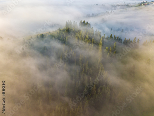 Foggy summer morning in the Ukrainian Carpathians. Aerial drone view. © Sergey