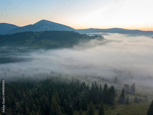 Fototapeta Naklejka Na Ścianę i Meble -  Green mountains of the Ukrainian Carpathians in the morning mist. Aerial drone view.