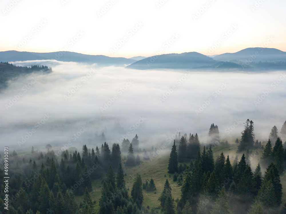 Fototapeta Morning fog in the Ukrainian Carpathians. Aerial drone view.