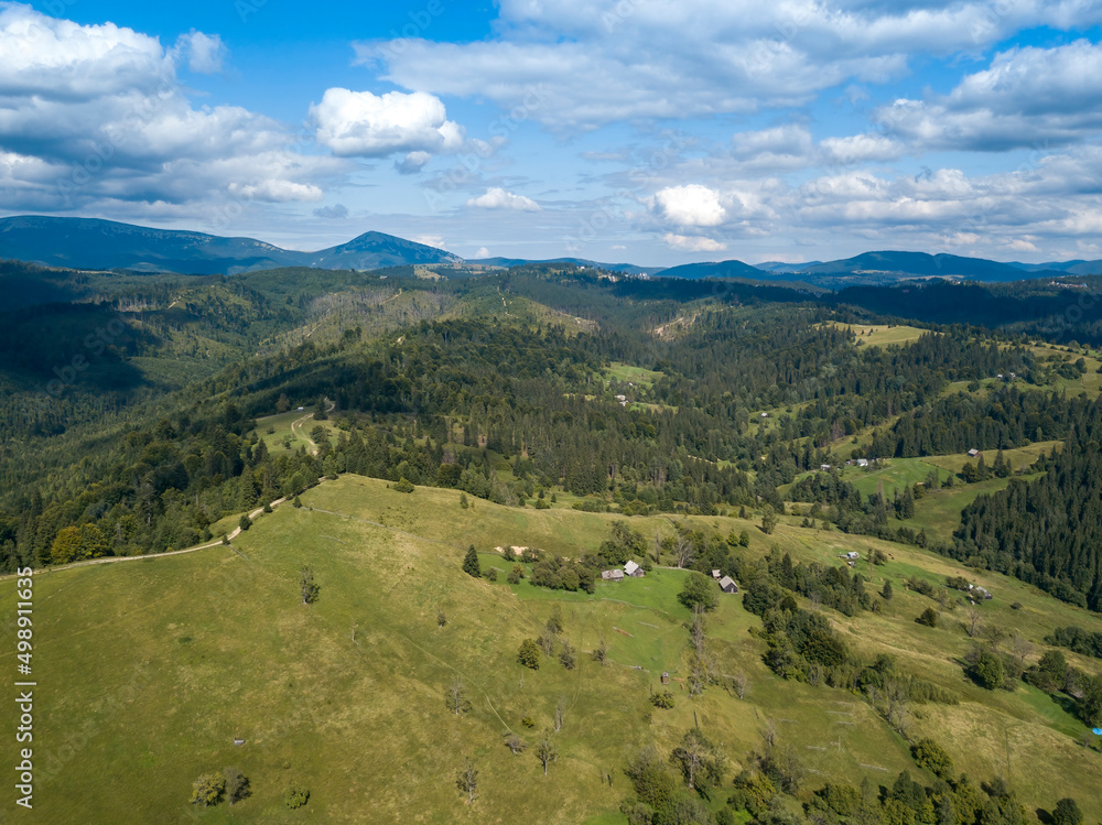 Obraz premium Green mountains of Ukrainian Carpathians in summer. Coniferous trees on the slopes. Aerial drone view.