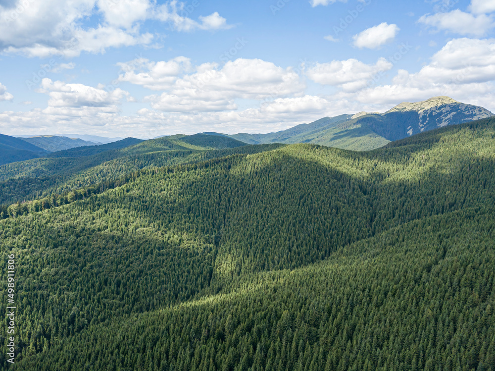 Obraz premium High mountains of the Ukrainian Carpathians in sunny weather. Aerial drone view.