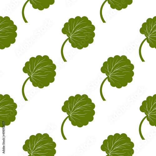 Gotu kola grass. Seamless background with leaves. Silhouette.