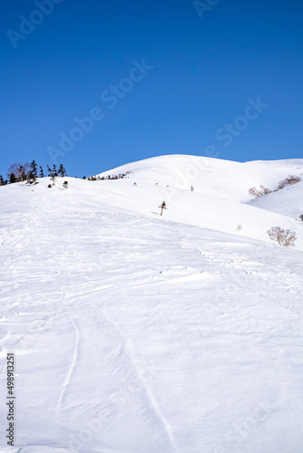 一面の雪景色