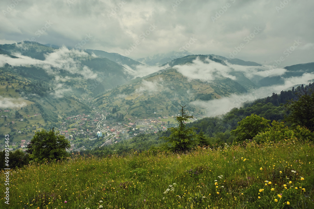 Fototapeta premium landscape in the Alps with fresh green meadows and blooming flowers and snow-capped mountain tops in the background