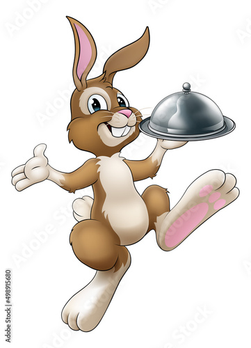 Easter Bunny Rabbit Cartoon...