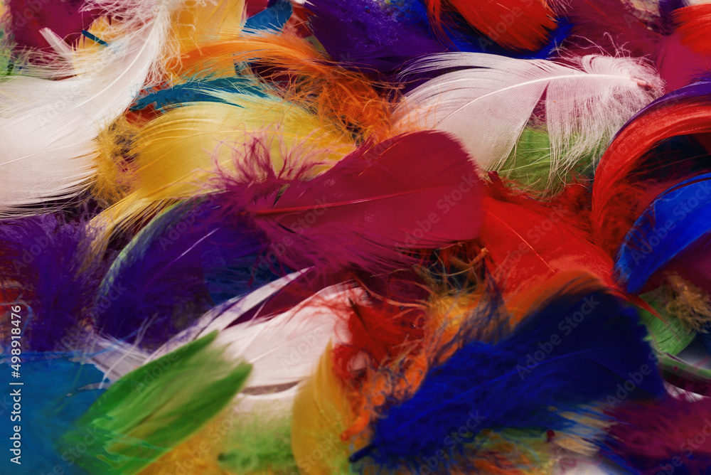 Colorful feather background. Colorful feather background.
