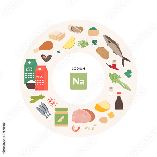 Healthy food guide concept. Vector flat illustration. Infographic of sodium product sources. Colorful meat, seafood, fruit, vegetables, dairy products icon set.