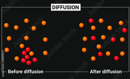 Diffusion: particle model of diffusion