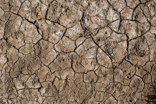 Bild auf Leinwand Detail close up of cracked soil exposed on the tidal zone