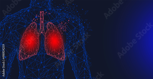 Human lungs surgery operation low poly. Medicine, disease, drug treatment, painful area. Polygonal human lungs with area of pain. Organ of human respiratory system. Bronchitis, pneumonia diagnostics