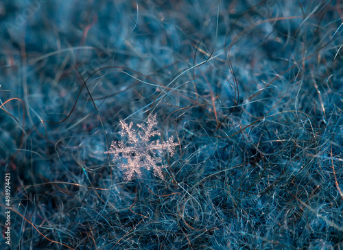 Close-up of natural icy snowflake on blue wool background.
