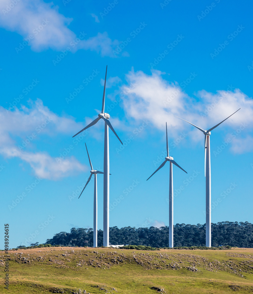 Fototapeta premium Landscape with wind turbines for power generation.