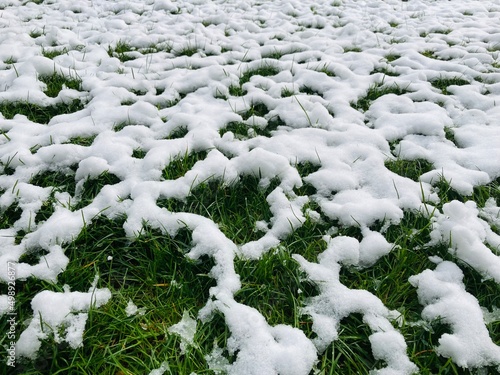white snow patches on a green meadow