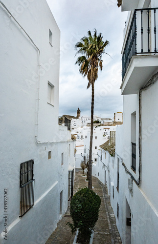 Palm tree on a local street of the white Spanish Andalusian town of Vejer de la Frontera in a cloudy winter day