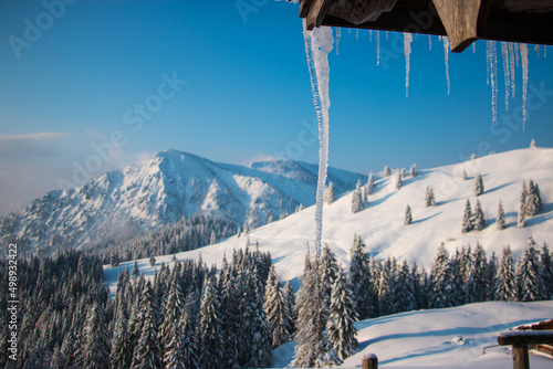 spring snow in the bavarian mountains with warm sunlights photo