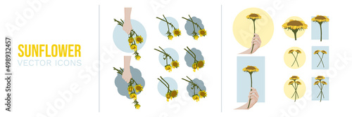 Sunflower Icons: Life and Death