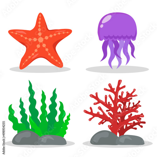 A set of illustrations on the marine theme. Algae, corals, starfish, jellyfish. Without background, isolated.