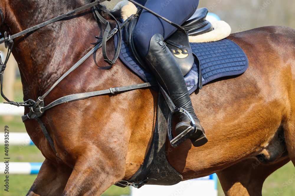 Obraz premium Horse riding leg close-up